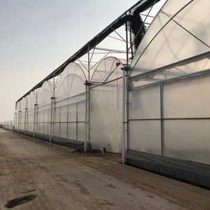 Professional Multi Span Film Greenhouse for Commercial Agriculture with Intelligent Smart Climate Control System Supply - Product Image 2