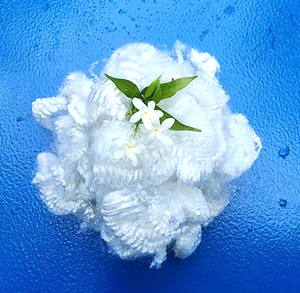 Fibre creuse non conjuguée 7D non siliconée-Résultats prouvés, OEM / ODM disponible, fabriqué au Vietnam, familial - Product Image 1