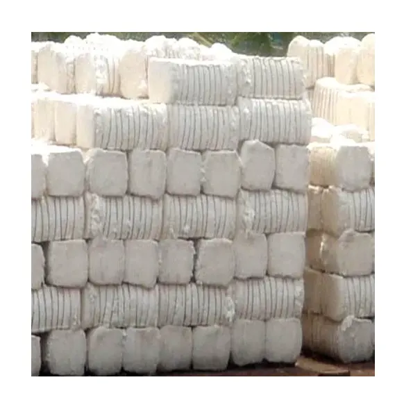 Organic Raw Cotton at Best Price Manufacturer Supplier