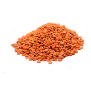 Lentilles brunes fraîches biologiques de haute qualité Meilleur matériau Style séché Emballé dans des sacs du fabricant Vente saine - Product Image 1