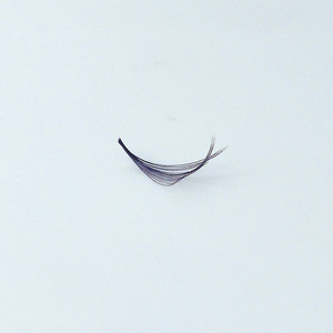 Meilleur prix ELFA Beauty Niche pour extensions de cils en fibre PBT coréenne faites à la main, effet doux et vaporeux/camélia, design unique, populaire et nouveau - Product Image 3