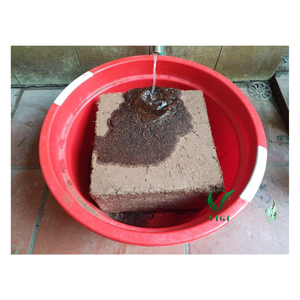 Venta al por mayor de ladrillo de coco de Vietnam, material de cultivo comprimido para granjas ecológicas y suministro de paisajismo - Product Image 5