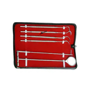 Professional Stainless Steel Veterinary Probe Scaler Dental <b>Cleaning</b> <b>Tool</b> dental set surgical instruments By Sign-Age Surgical - Product Image 3