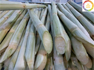 La caña de azúcar congelada de Vietnam conserva el sabor y los nutrientes a través de IQF - Product Image 2