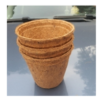 Belle fibre de noix de coco Pot de coco élégant Pot de coco planteur adapté pour fleurs herbes légumes intérieur extérieur jardinage