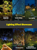 Projecteur laser extérieur étanche 5W IP65, lumière de ciel étoilé, lumière de luciole, DMX512, éclairage paysager pour la décoration de Noël et de jardin