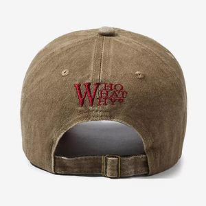 2503 personnalisé en gros Logo nouveau sport uni OEM coton Snapback Baseball broderie Logo 6 panneau chapeaux casquettes - Product Image 5