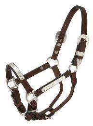 Cheval western licou Nylon Équestre Western Horse Halter Horsewestern cheval licou Nylon Équestre Western Horse Halter Horse - Product Image 4