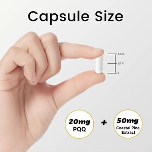 OEM PQQ Pyrroloquinoline Quinone 20mg Cápsulas Extracto de pino costero para la salud mitocondrial del adulto Energía celular Aumentar el cerebro - Product Image 4