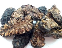 Noni pur séché d'usine du Vietnam dans un sac sous vide Noni séché 5usd chaque Kgs Noni séché entier 10pcs sac ANGLE