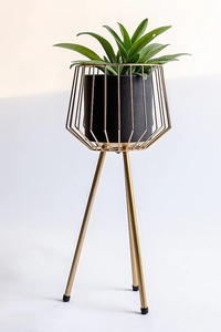 Plant <b>Pot</b> House Home Decor Modern Plant Flower <b>Holder</b> Rack Iron Gold Indoor Metal Flower <b>Pot</b> Planter <b>Pot</b> Stand for Plant - Product Image 4