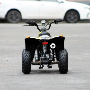 <span class=keywords><strong>Quad</strong></span> à quatre roues <span class=keywords><strong>pas</strong></span> <span class=keywords><strong>cher</strong></span> de 110 cm3 à démarrage électrique, à transmission par chaîne, fabriqué en Chine, à vendre - Product Image 6