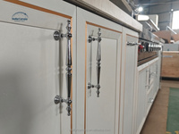 Meubles de cuisine extérieurs modernes en acier inoxydable écologiques avec portes vitrées, robinet, charnières, cuisinière et ensemble barbecue