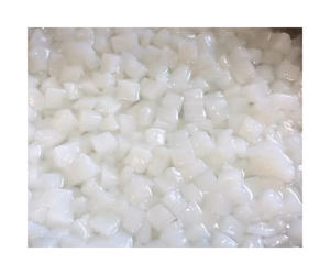 มะพร้าวเจลลี่ Nata de COCO ทำจากน้ำมะพร้าวสดอบแห้งวุ้นมะพร้าวดิบสำหรับเครื่องดื่มและพุดดิ้งในเวียดนาม99GD - Product Image 1