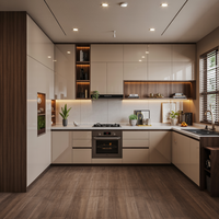 Solusi Kabinet Dapur Modular PET Proyek Besar untuk Pengembang dan Kontraktor