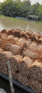 Material de Vietnam de jacinto de agua seca Protección del Medio Ambiente de moda planta natural hecha a mano - Product Image 4