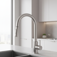 Robinet de Cuisine Moderne en Acier Inoxydable Économique Sans Plomb avec Douchette Extractible, Mitigeur d'Évier