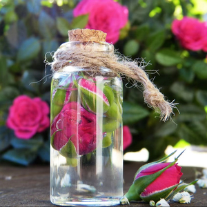 น้ำมันหอมระเหยจากดอกกุหลาบตะขาบธรรมชาติออร์แกนิกบริสุทธิ์100% โรงงานได้รับการรับรอง - Product Image 3