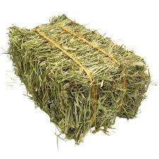 Alimento para animales Alfalfa/Timoteo/Alfalfa Heno en venta - Product Image 4