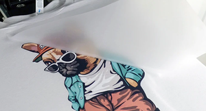 Impresión DTF en Rollo de Película de PU, Impresión Digital por Transferencia de Calor, Etiqueta Blanca de Alta Calidad, Marca DTF01 - Product Image 4