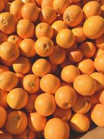 Citrus frais de qualité supérieure, sans pépins, Navel, Valencia, Citron vert, saveur acidulée et juteuse, sain et nutritif, récolte la plus récente