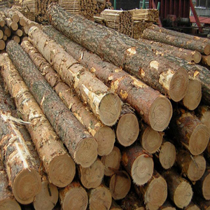 Bûches de bois de Kapur, spécifications standard, durée de conservation de 24 mois, fabricant agro - Product Image 2