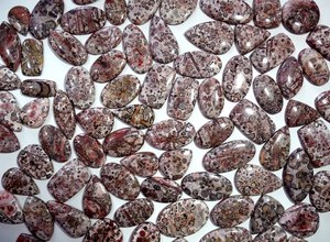 Piedra preciosa suelta de jaspe de piel de leopardo Natural de alta calidad de cuarzo de cabujón de varios tamaños para la fabricación de joyas - Product Image 2