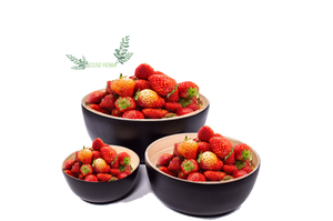 Juego de Cuchara y Tazón de Bambú Reutilizables Ecológicos al por Mayor - Forma Redonda Personalizable con Logotipo Grabado con Láser para Fiestas, Hecho en Vietnam - Product Image 3