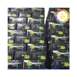 Vente en gros de chaux sans pépins en vrac du Vietnam, teneur élevée en jus et qualité stable, adaptée au commerce international et à la restauration - Product Image 2