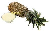 Bromelaïnepoeder Bromelaïne-enzymen Ananas Comosus Ananasplant Bromeliaceae Voedingskwaliteit 100% Natuurlijk Apex Merk