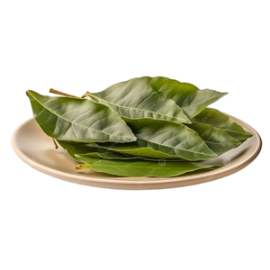100% Hojas de Guanábana secadas al sol naturales de Vietnam seleccionadas a mano para pureza y producto agrícola rentable - Product Image 6