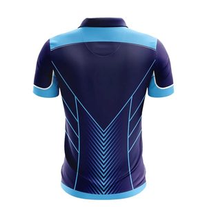 Top qualité 100% Polyester sublimé Cricket maillot hommes 2025 Cricket uniforme ensemble séchage rapide vêtements de sport Cricket équipe joueur Kit - Product Image 5