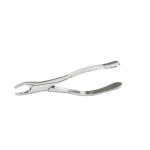 Fórceps de extracción de dientes dentales Instrumentos dentales de calidad de exportación Premium Extracción de dientes para adultos Fórceps de alta calidad - Product Image 5