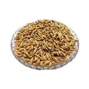 Semences d'orge maltée en vrac biologique séchées et décortiquées prêtes à l'exportation comme aliment pour animaux de ferme - Product Image 6