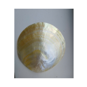 Cadeaux écologiques Cuillère à coquille de nacre polie à la main Cuillère à caviar Cuillère à coquille de perle pour les présentoirs de cadeaux élégants - Product Image 6