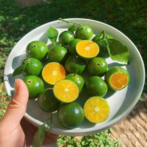 JUS CALAMANSI PUR CONGELÉ D'ORIGINE DU VIETNAM VENTE EN GROS QUALITÉ D'EXPORTATION 100% NATUREL - Product Image 1