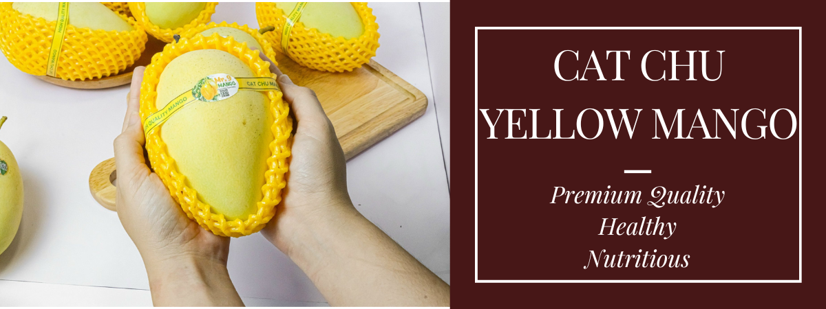 Hot 2025] OEM Premium Cat Chu Mango Naturally sweet and fresh