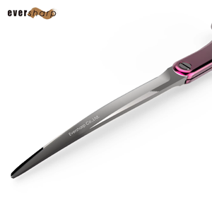 Proveedor de Taiwán Tijeras profesionales para el cuidado de mascotas para resultados óptimos - Product Image 2