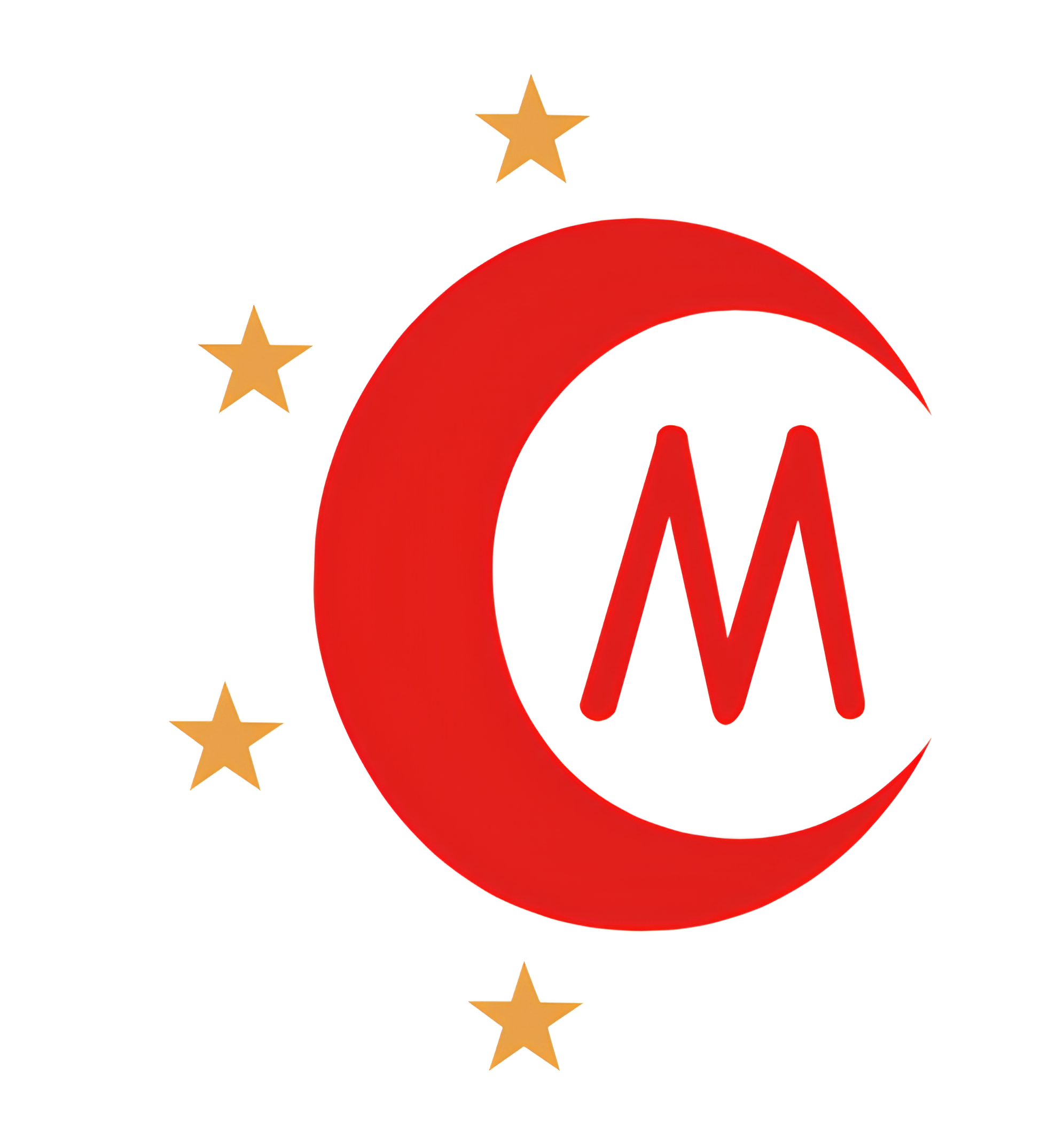 Maichen (jinan) International Trade Co., Ltd.