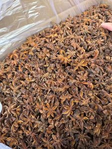 Hoa hồi cao cấp mùa thu xuân từ Việt Nam Cô Emily +84 964660879 - Product Image 5