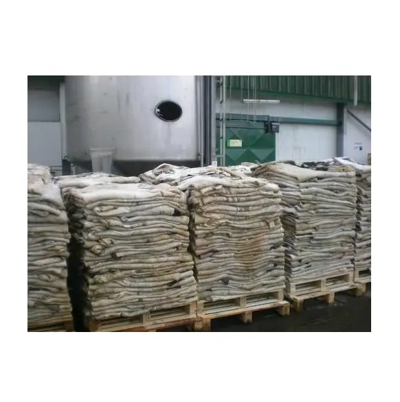 Hot Selling Price Of Raw Wet Salted and Dried Cow Hides / Skins In Bulk Quantity