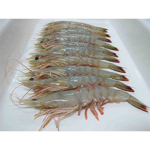 กุ้ง vannamei สีขาวหัวขาดแห้งบรรจุภัณฑ์จำนวนมาก - Product Image 5