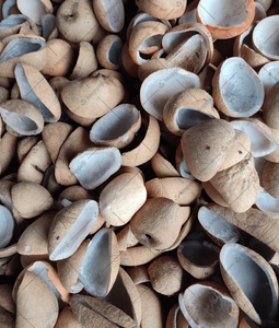 Premium Indonesian Edible White Copra Grade A High Oil Content Dried <b>Coconut</b> <b>Cup</b> Wholesale - Product Image 5
