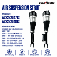 Amortisseur de suspension pneumatique pour véhicule OE A2223204713 et A2223204813 pour la réparation de véhicules de classe S W222