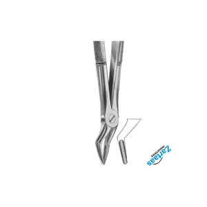 Pince d'extraction dentaire en acier inoxydable de haute qualité Fig 35 pour le fabricant d'instruments dentaires de racines supérieures - Product Image 3