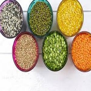 Lentejas Verdes Canadienses Secas de Primera Calidad, Tipos Marrón y Rojo para Uso Alimentario, Precio de Fábrica - Product Image 5