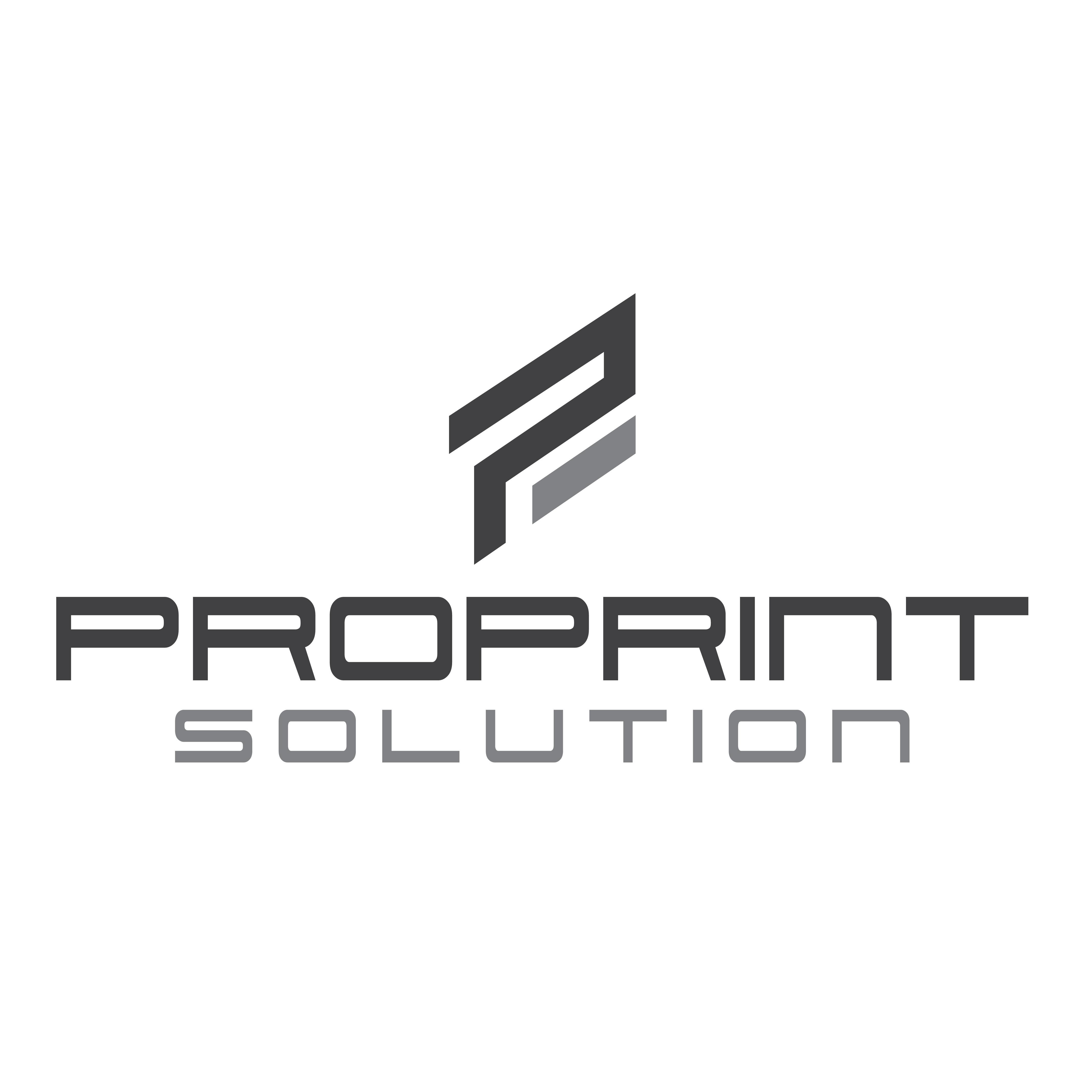 ProPrint Solution Inh. Benjamin Grammel logo