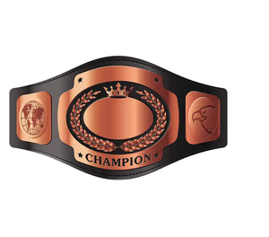 Cinturón de lucha de campeonato con logotipo personalizado Cinturones universales personalizados para equipos de artes marciales - Product Image 5