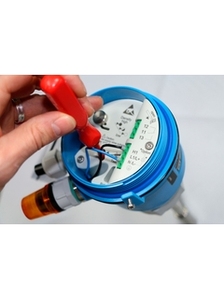 Interrupteur de niveau rotatif à palette Endres+Hauaser Soliswitch FTE20 - Product Image 2