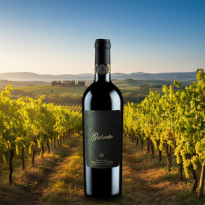 GALANTE Ossequium Trebbiano DOC White <b>Wine</b> 750ml Crisp Dry Italian <b>Wine</b> 6 Bottles Per Box Made in Italy - Product Image 3